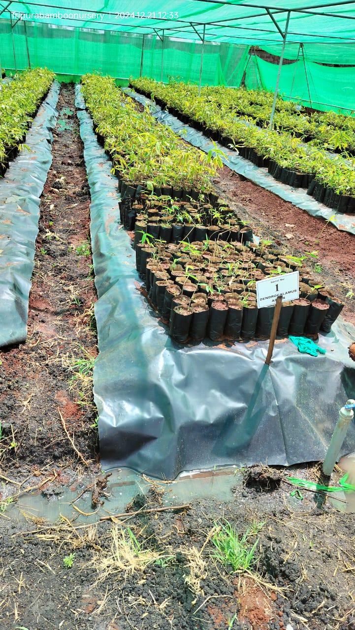 development_dialogue_image1