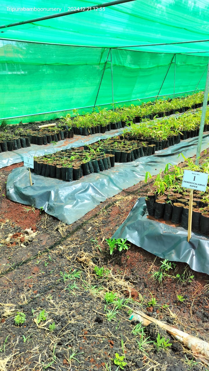 development_dialogue_image1