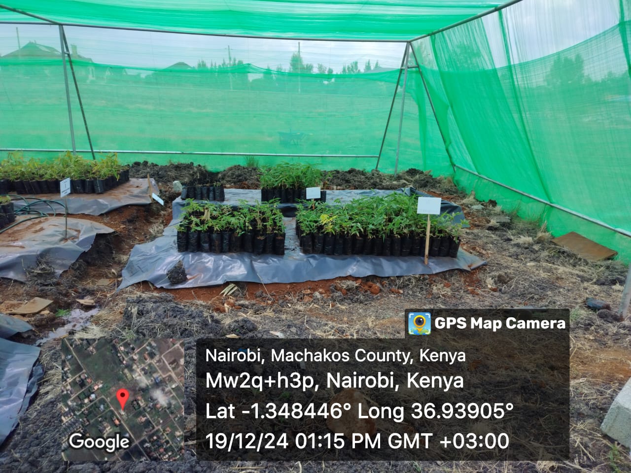 development_dialogue_image1