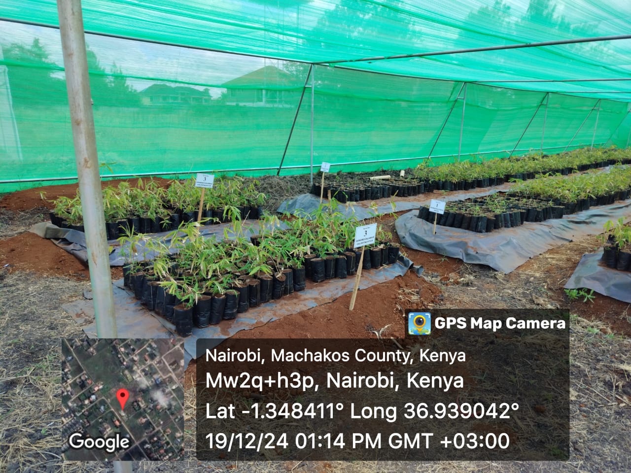 development_dialogue_image1