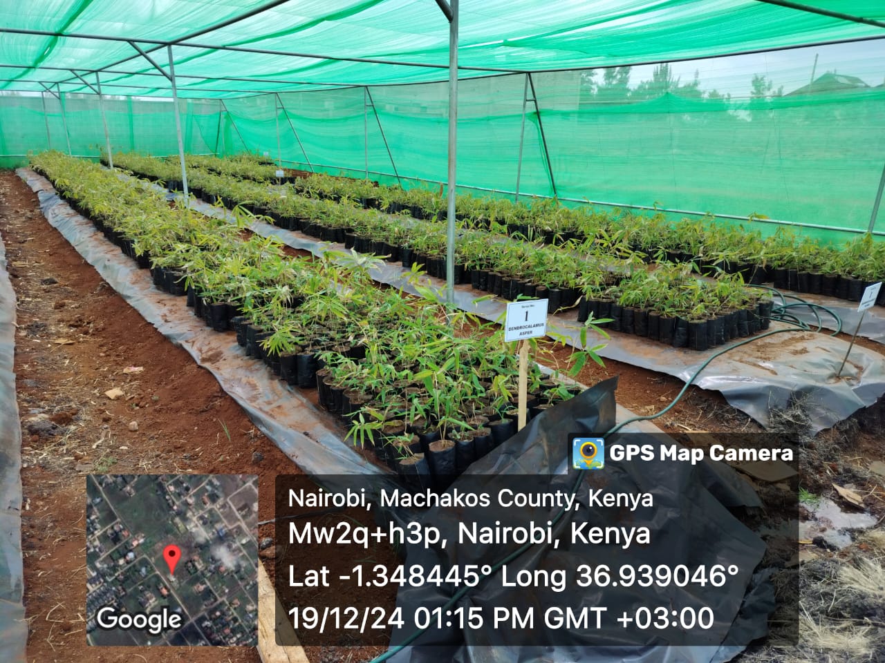 development_dialogue_image1