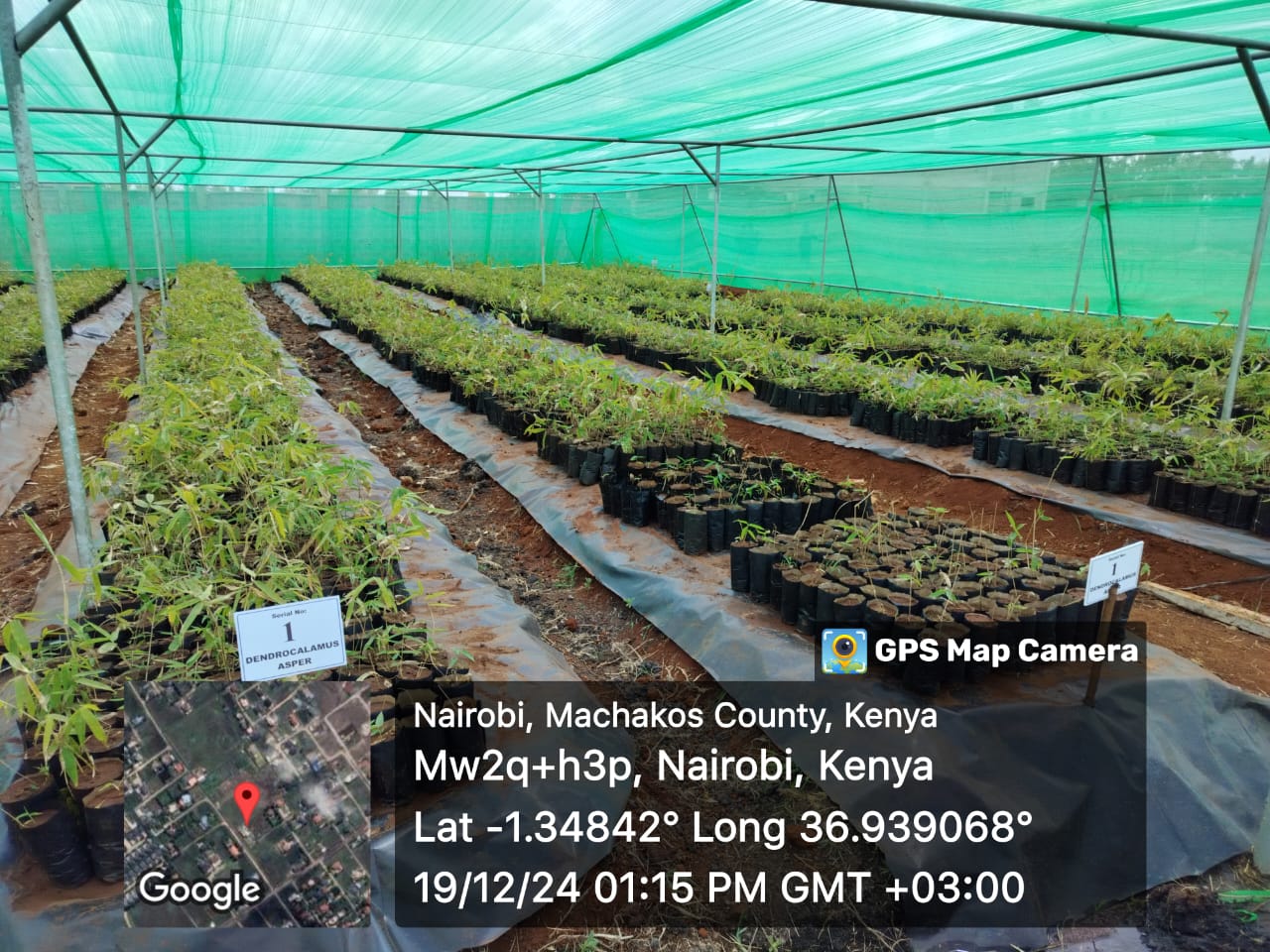 development_dialogue_image1