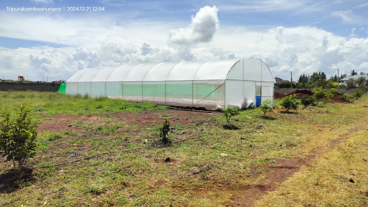 development_dialogue_image1