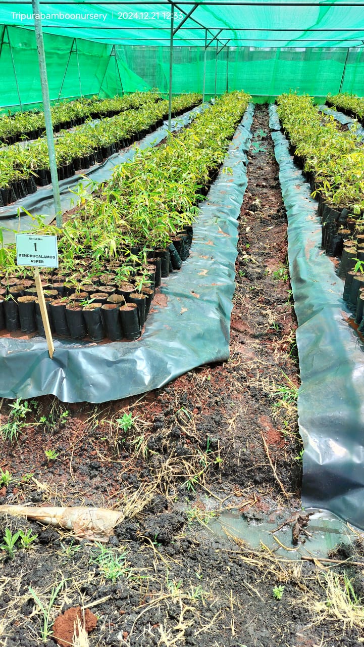 development_dialogue_image1